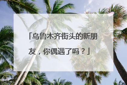 乌鲁木齐街头的新朋友，你偶遇了吗？