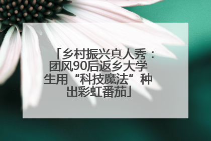 乡村振兴真人秀：团风90后返乡大学生用“科技魔法”种出彩虹番茄
