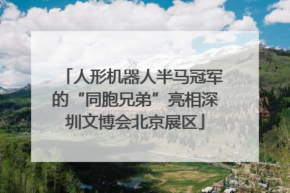 人形机器人半马冠军的“同胞兄弟”亮相深圳文博会北京展区