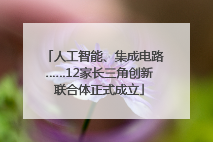 人工智能、集成电路……12家长三角创新联合体正式成立