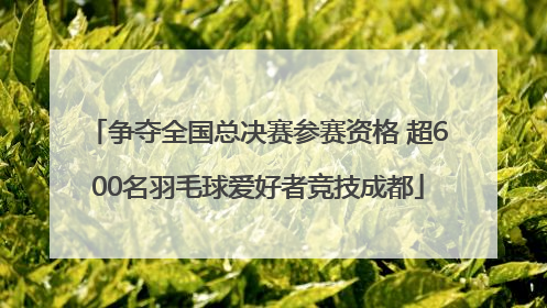 争夺全国总决赛参赛资格 超600名羽毛球爱好者竞技成都