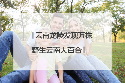 云南龙陵发现万株野生云南大百合