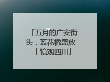 五月的广安街头，蓝花楹盛放丨镜观四川