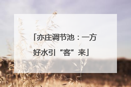 亦庄调节池：一方好水引“客”来