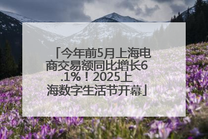 今年前5月上海电商交易额同比增长6.1%！2025上海数字生活节开幕