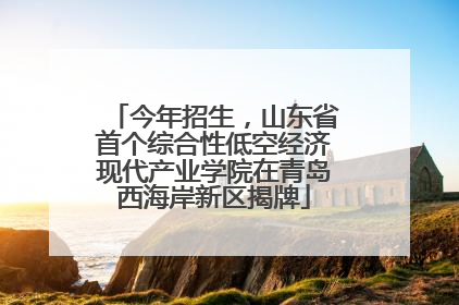 今年招生，山东省首个综合性低空经济现代产业学院在青岛西海岸新区揭牌