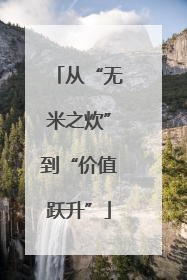 从“无米之炊”到“价值跃升”