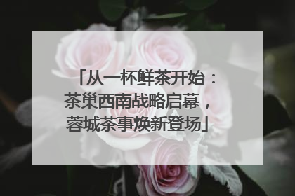 从一杯鲜茶开始：茶巢西南战略启幕，蓉城茶事焕新登场