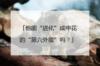 他能“进化”成申花的“第六外援”吗？