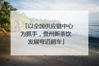 以全国供应链中心为抓手，贵州新茶饮发展弯道超车