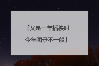 又是一年插秧时 今年图景不一般