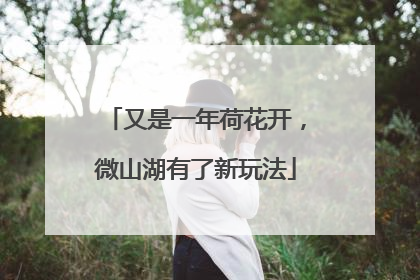 又是一年荷花开，微山湖有了新玩法