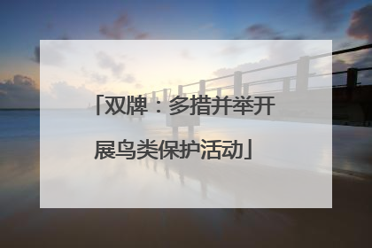 双牌：多措并举开展鸟类保护活动