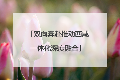 双向奔赴推动西咸一体化深度融合