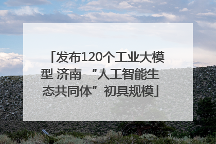 发布120个工业大模型 济南 “人工智能生态共同体”初具规模