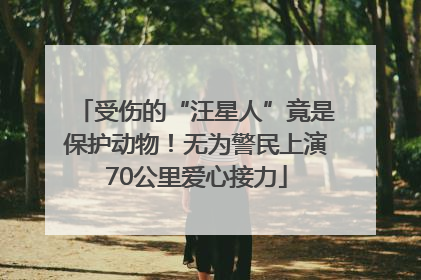 受伤的“汪星人”竟是保护动物！无为警民上演70公里爱心接力