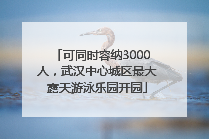 可同时容纳3000人，武汉中心城区最大露天游泳乐园开园