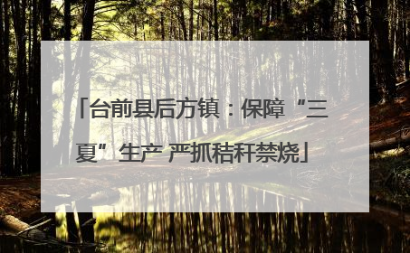 台前县后方镇：保障“三夏”生产 严抓秸秆禁烧