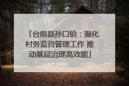 台前县孙口镇：强化村务监督管理工作 推动基层治理高效能