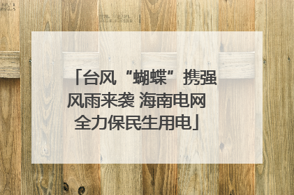 台风“蝴蝶”携强风雨来袭 海南电网全力保民生用电
