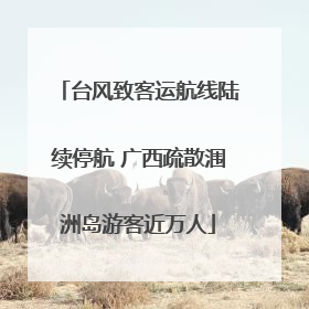 台风致客运航线陆续停航 广西疏散涠洲岛游客近万人