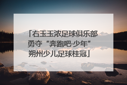 右玉玉浓足球俱乐部勇夺“奔跑吧·少年”朔州少儿足球桂冠