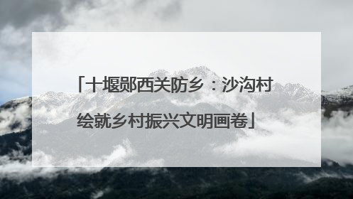 十堰郧西关防乡：沙沟村绘就乡村振兴文明画卷