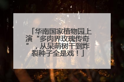 华南国家植物园上演“多肉界玫瑰传奇”，从呆萌树干到炸裂种子全是戏！