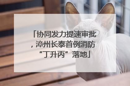 协同发力提速审批，漳州长泰首例消防“丁升丙”落地