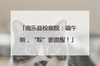 南乐县检察院：端午前，“粽”要提醒！
