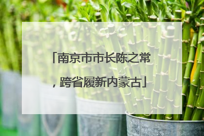 南京市市长陈之常，跨省履新内蒙古