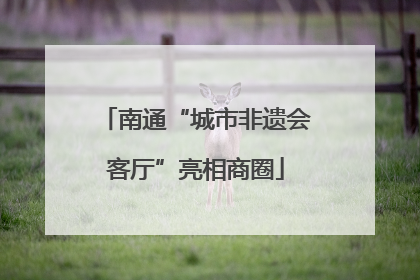 南通“城市非遗会客厅”亮相商圈
