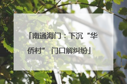 南通海门：下沉“华侨村” 门口解纠纷