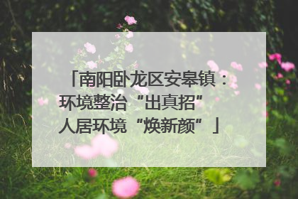 南阳卧龙区安皋镇：环境整治“出真招” 人居环境“焕新颜”