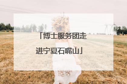 博士服务团走进宁夏石嘴山