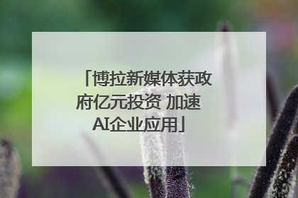 博拉新媒体获政府亿元投资 加速AI企业应用