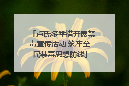 卢氏多举措开展禁毒宣传活动 筑牢全民禁毒思想防线