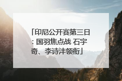 印尼公开赛第三日：国羽焦点战 石宇奇、李诗沣领衔