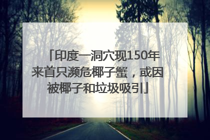 印度一洞穴现150年来首只濒危椰子蟹，或因被椰子和垃圾吸引