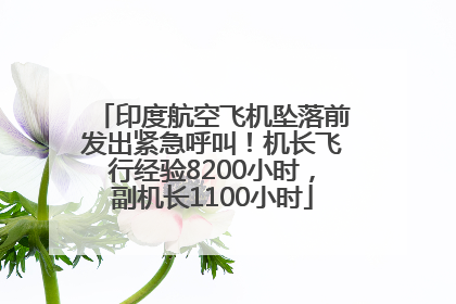 印度航空飞机坠落前发出紧急呼叫！机长飞行经验8200小时，副机长1100小时