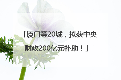 厦门等20城，拟获中央财政200亿元补助！