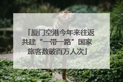 厦门空港今年来往返共建“一带一路”国家旅客数破百万人次