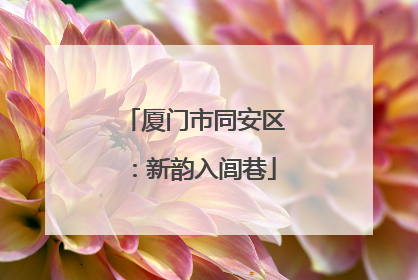 厦门市同安区：新韵入闾巷