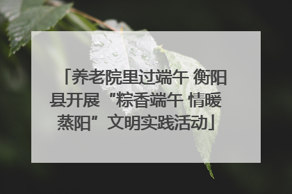 养老院里过端午 衡阳县开展“粽香端午 情暖蒸阳”文明实践活动