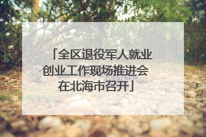 全区退役军人就业创业工作现场推进会在北海市召开