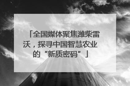 全国媒体聚焦潍柴雷沃，探寻中国智慧农业的“新质密码”