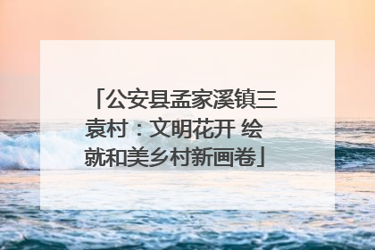 公安县孟家溪镇三袁村：文明花开 绘就和美乡村新画卷