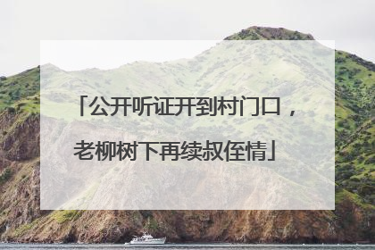 公开听证开到村门口，老柳树下再续叔侄情