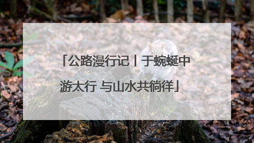 公路漫行记丨于蜿蜒中游太行 与山水共徜徉