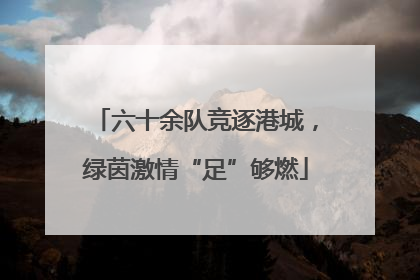 六十余队竞逐港城，绿茵激情“足”够燃